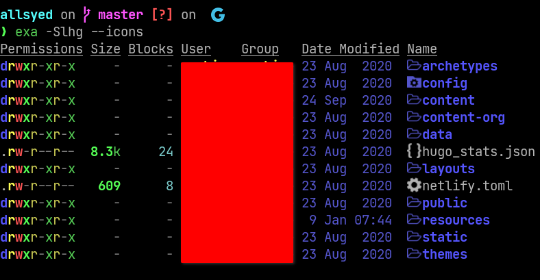 exa in action output of exa with few flags