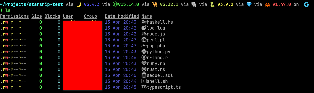 exa in action output of exa with few flags