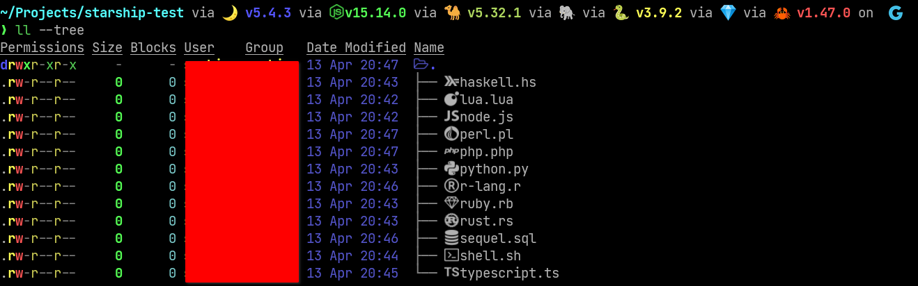 exa in action output of exa with few flags